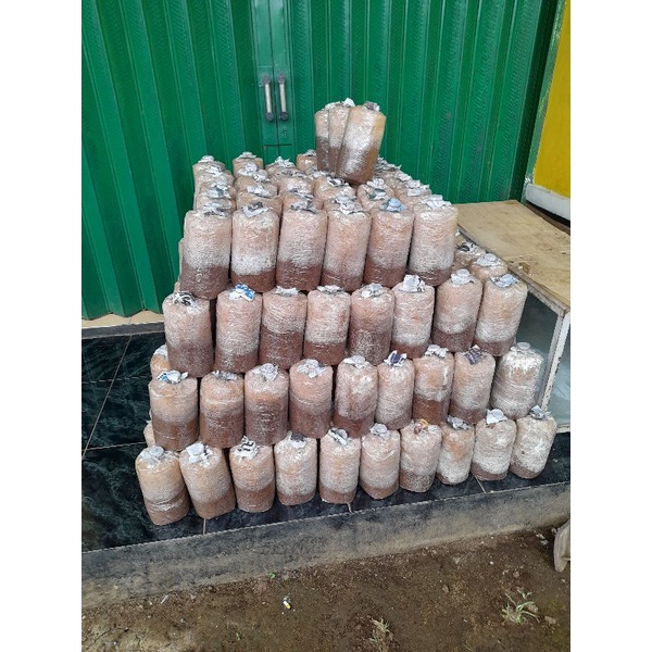 

baglog jamur putih(siap tumbuh)