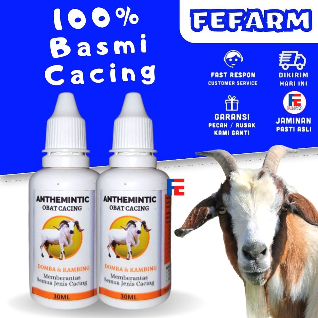Obat Cacing Kusus Kambing Dan Domba Meningkatkan Nafsu Makan FEFARM