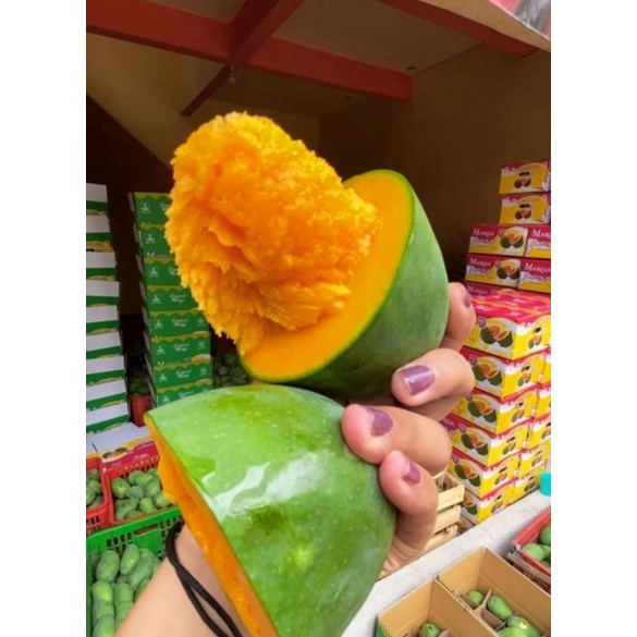 

Mangga Alpukat grade A 1 dus