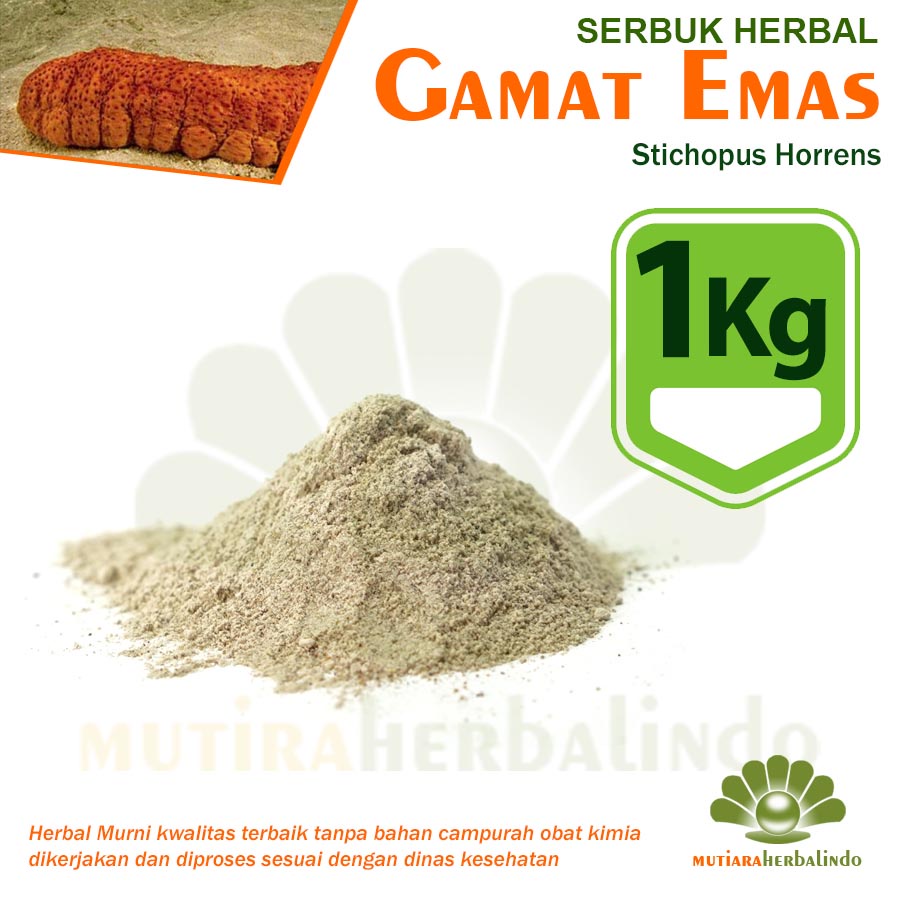 1KG Bubuk GAMAT EMAS Pembangkit Libido Kelenjar Getah Bening Stroke