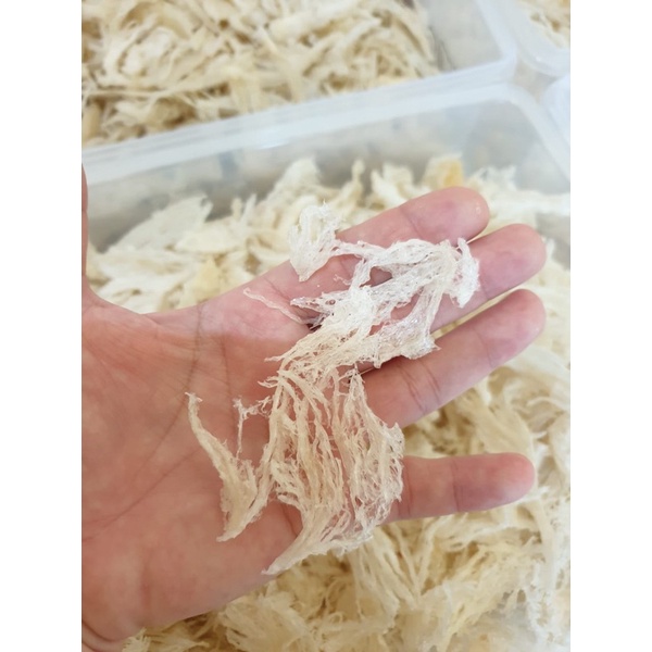 

RAW BIRDNEST PATAHAN KECIL