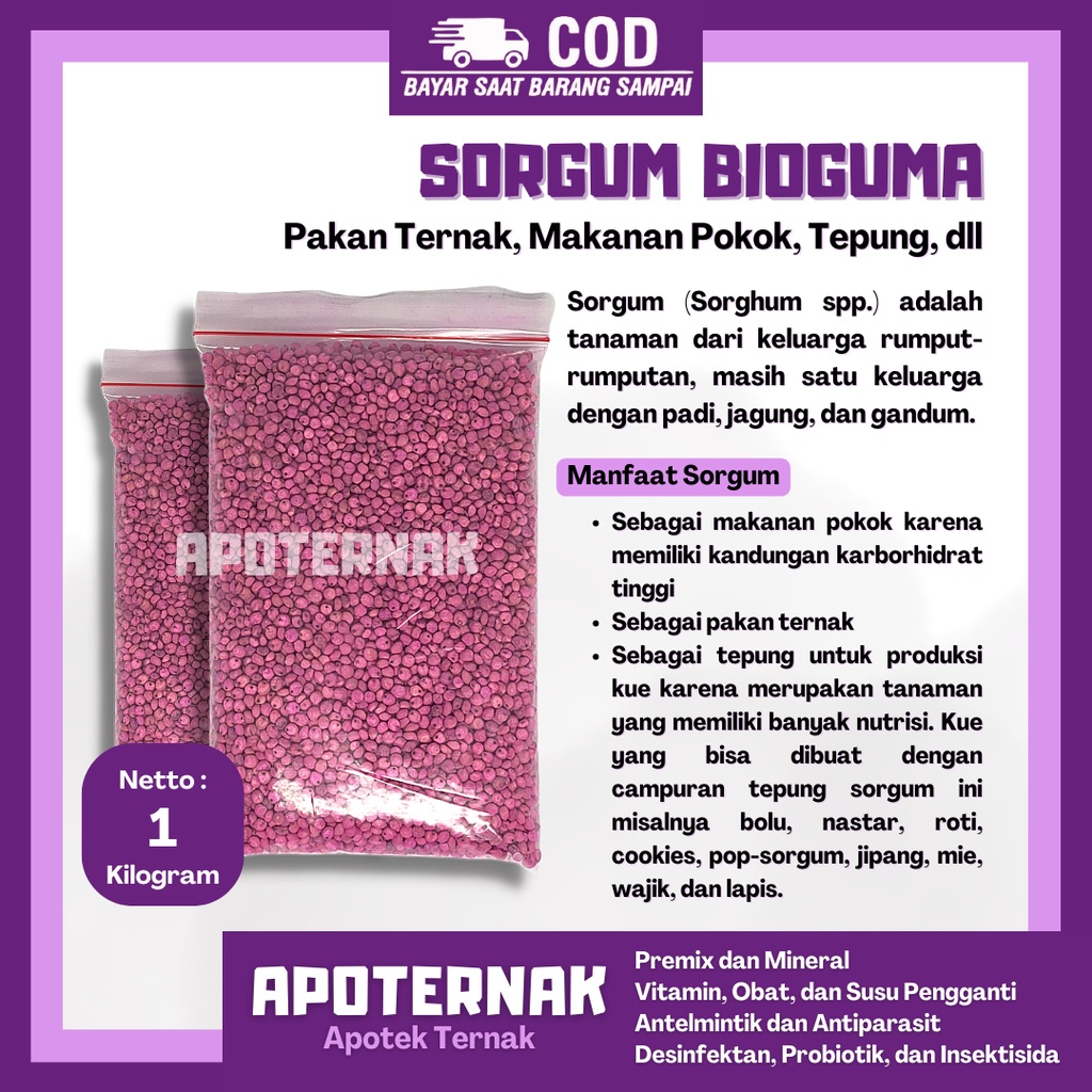 BIJI BENIH SORGUM BIOGUMA SUPER | Bibit Pakan Ternak, Makanan Pokok, Tepung | 1 kg | Apoternak