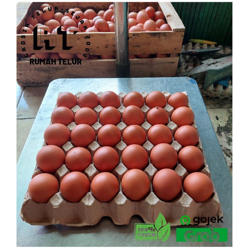 

Telur Ayam Negeri 30 butir / Tray, ONGKIR TERMURAH, Fresh PREMIUM.