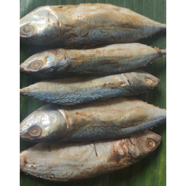 

ikan peda kuning
