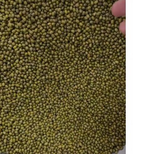 

Terbaru 10.10 1000gr Kacang Hijau - Green Mung Beans - Premium - Bersih grosir