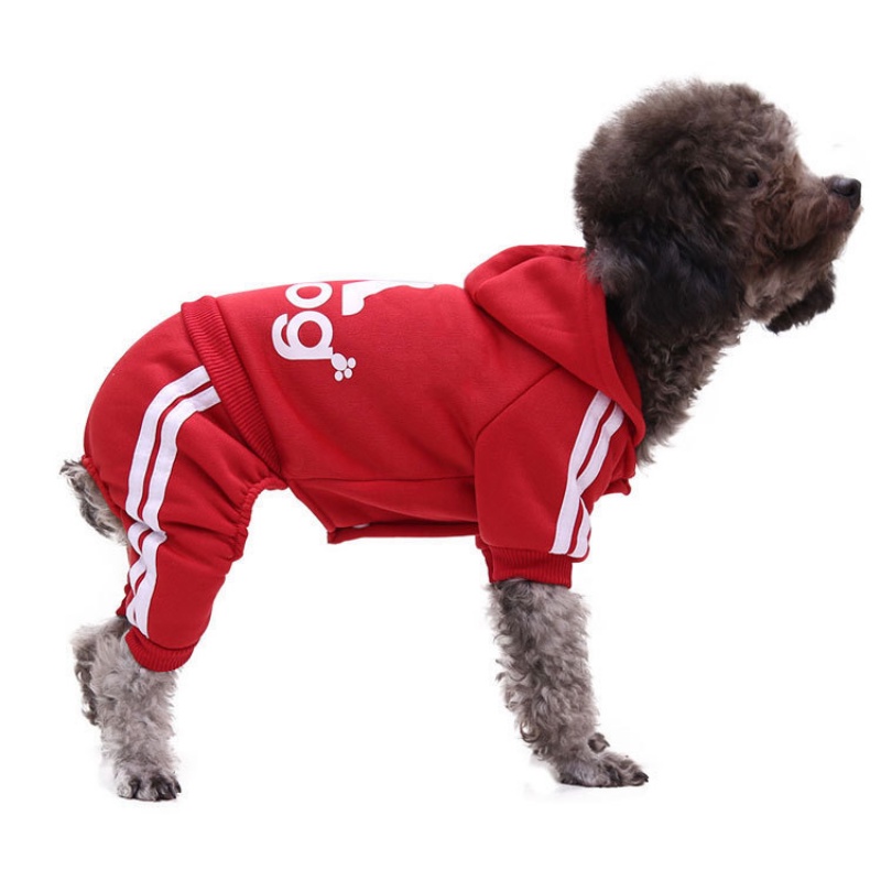 Musim Gugur Musim Dingin Puppy Hoodie Untuk Anjing Kecil Olahraga Mantel Hangat Sweater Kaki Empat Pakaian Hewan Peliharaan Untuk Anjing Kucing Anjing Anjing