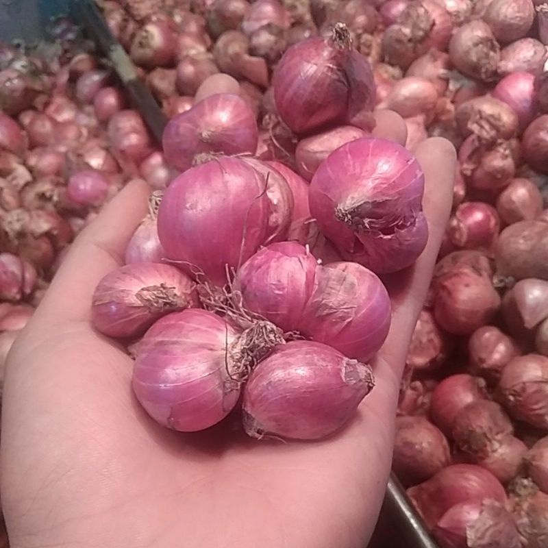 

Bawang Merah Jawa