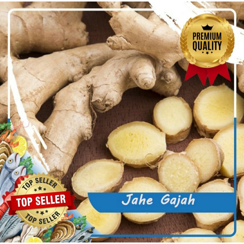 

JAHE GAJAH FRESH ORGANIK 1000 GRAM