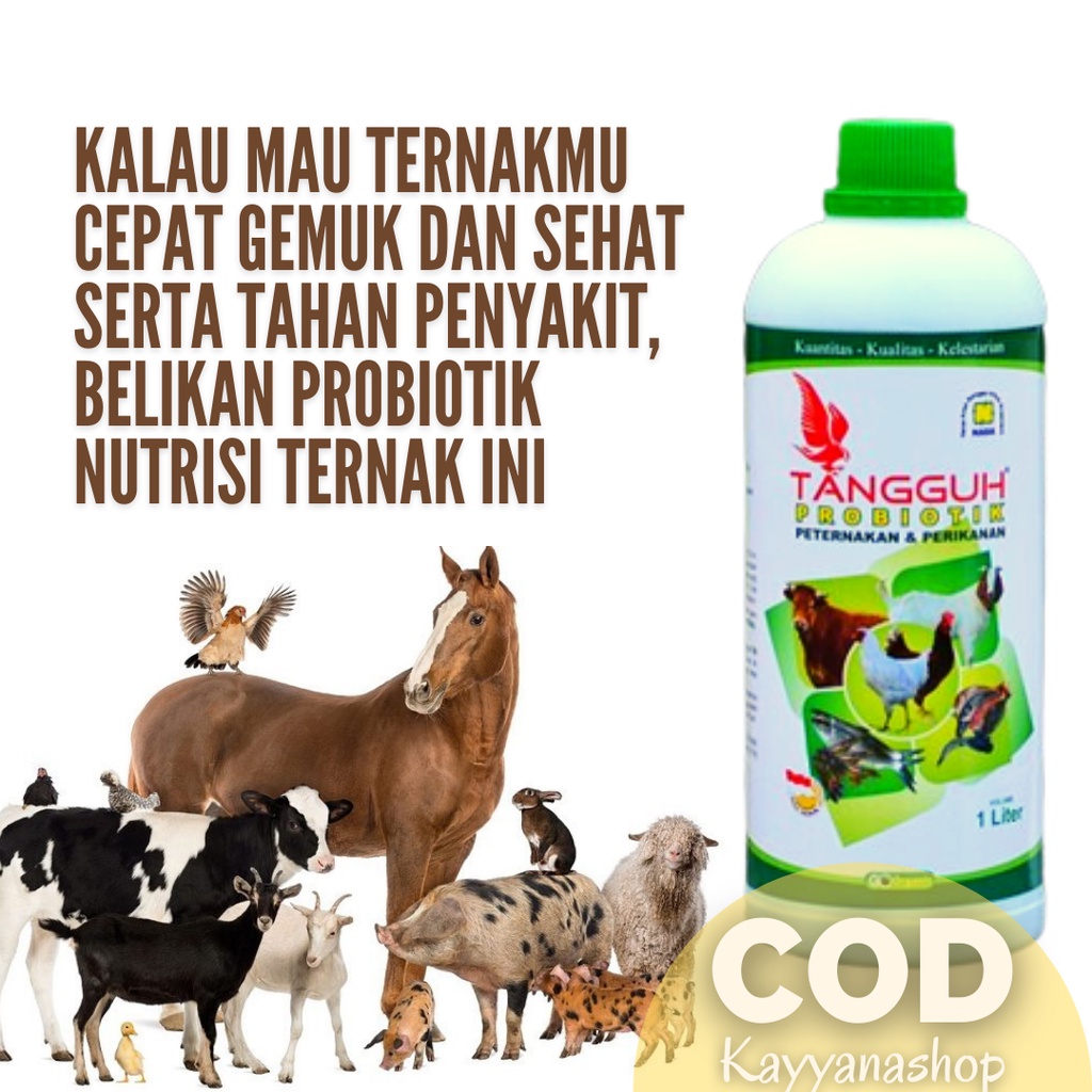 Tangguh Probiotik 1 Liter / Probiotik Bahan Fermentasi Pakan Ternak / Probiotik Hewan Ternak / Probi