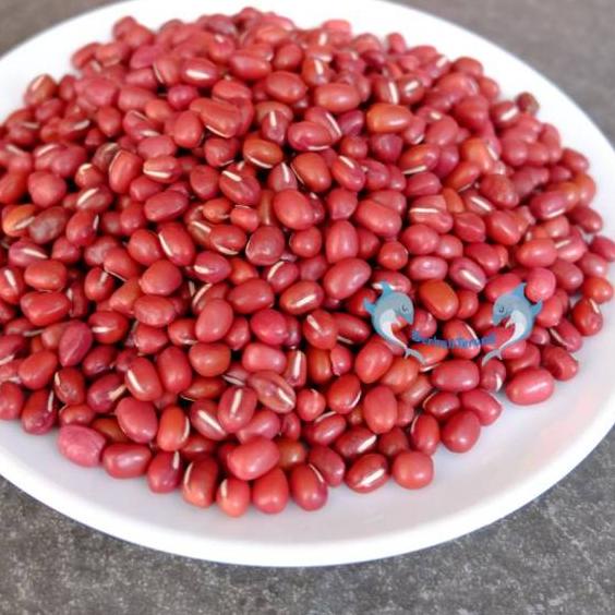 

READY ✅Kacang Merah ADZUKI 500Gr SUPER Import China / Azuki Red Beans|SQ2