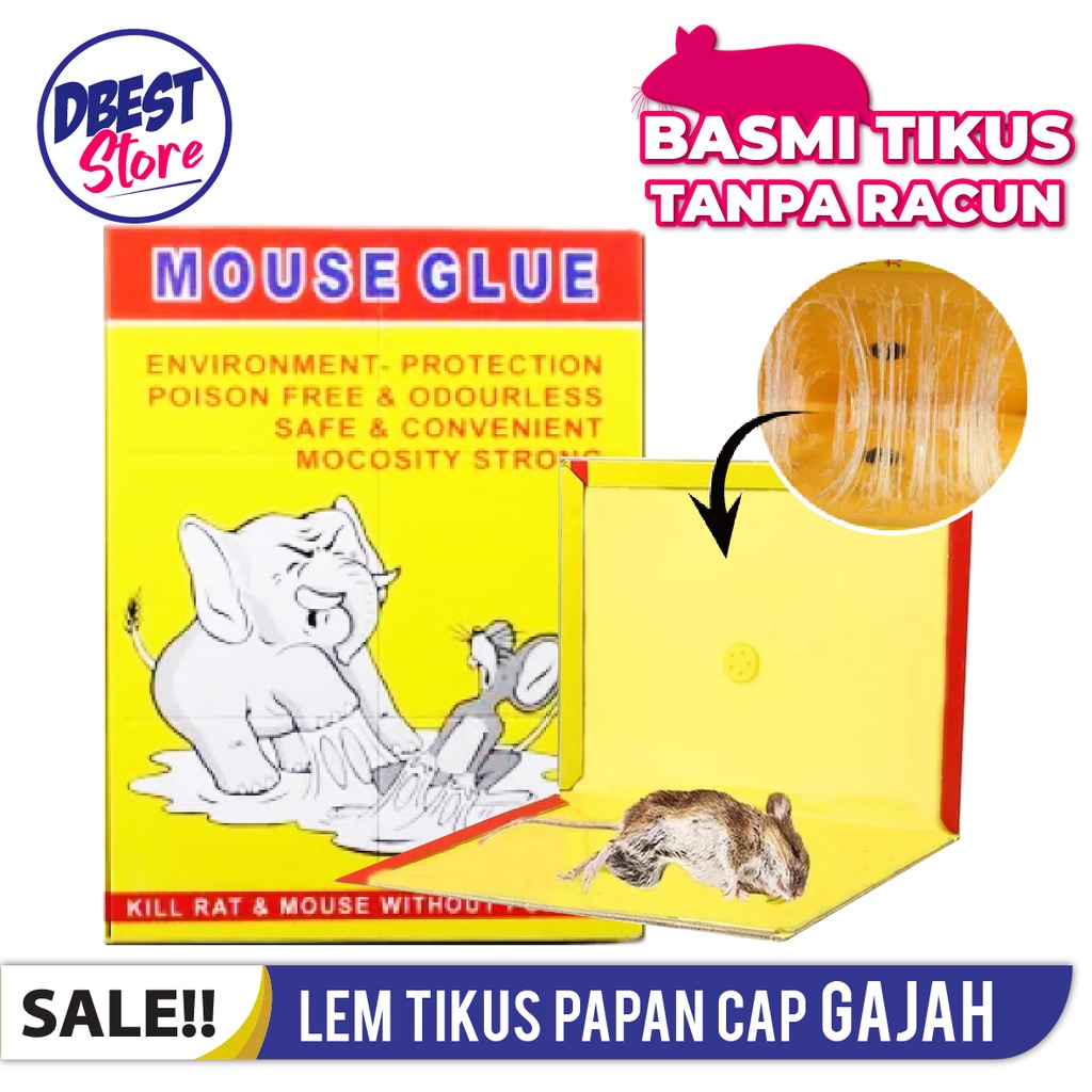 LEM TIKUS PAPAN CAP GAJAH + RACUN TIKUS IMPORT SUPER LENGKET