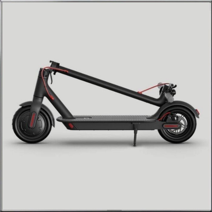 Electric scooter 1s Upgrade from Skuter M365 with LCD