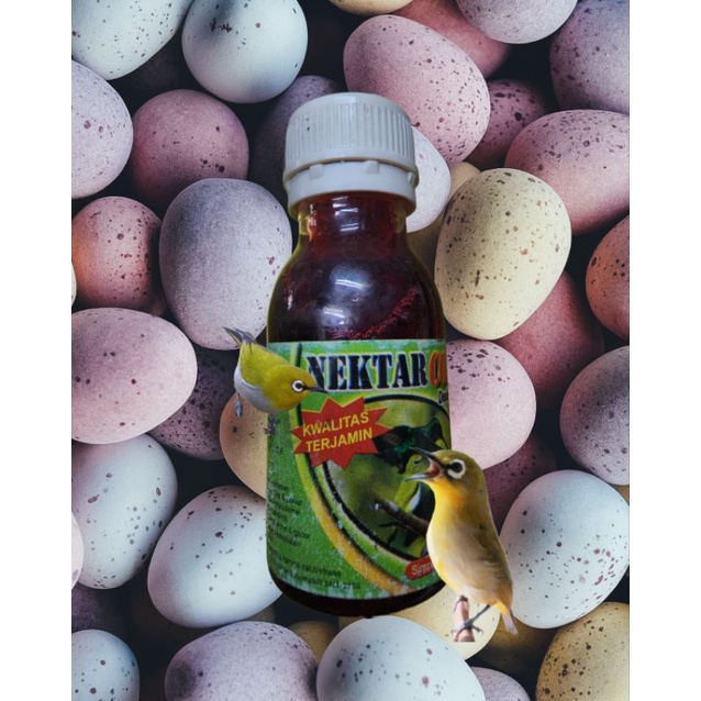 nektar pleci colibri vitamin burung bervitamin antistres gacor