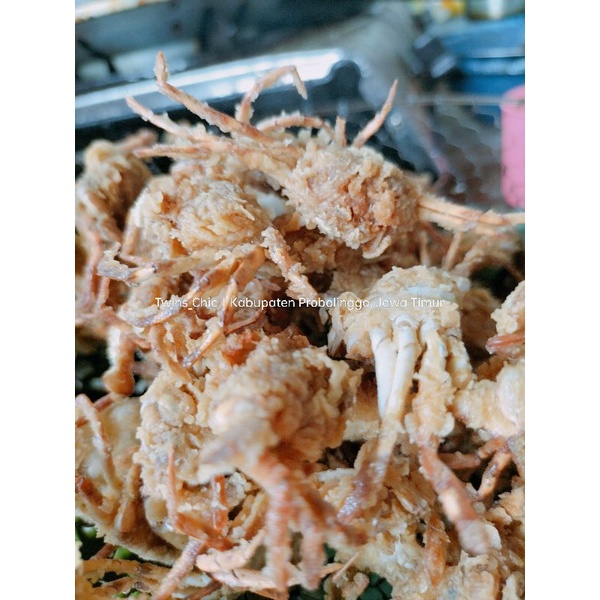 

Babycrab Crispy