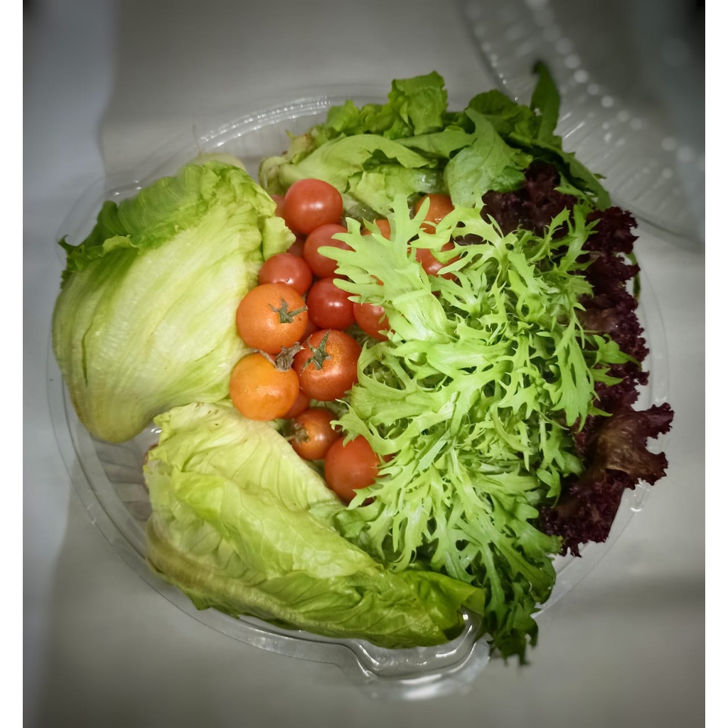 

RAW MIX SALAD SAYUR SEGAR HYDROPONIK / ORGANIK BERAT KURANG LEBIH 500 GRAM