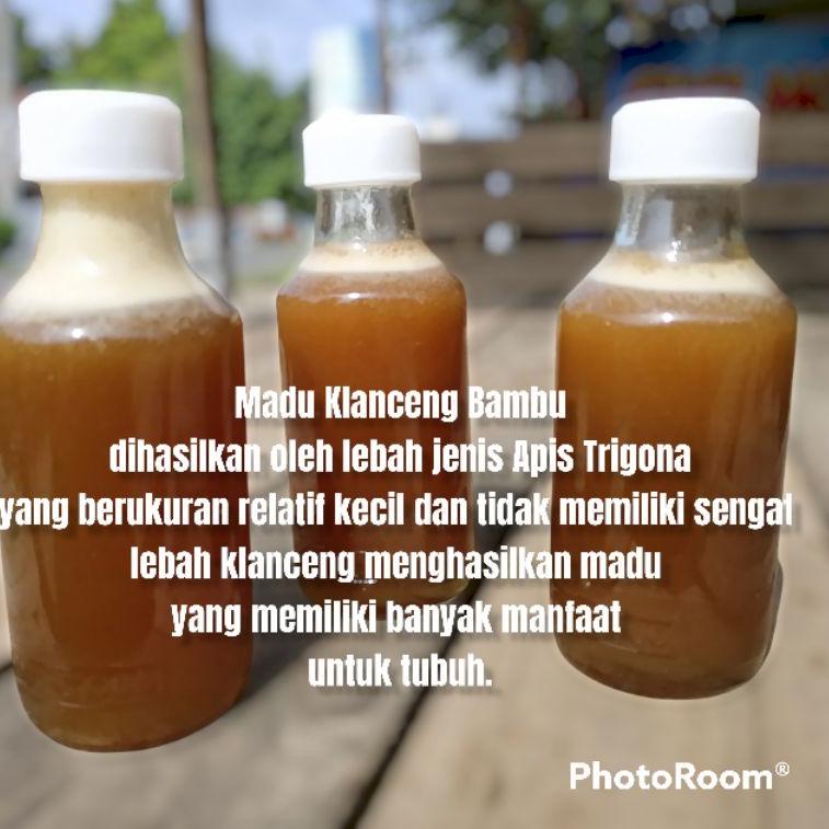 

[KODE PRODUK GD6BP7140] MADU Lanceng, Klanceng, Kelanceng, Trigona, Kelulut Murni 100% Liar Asli Bukan Ternak Tanpa Campuran