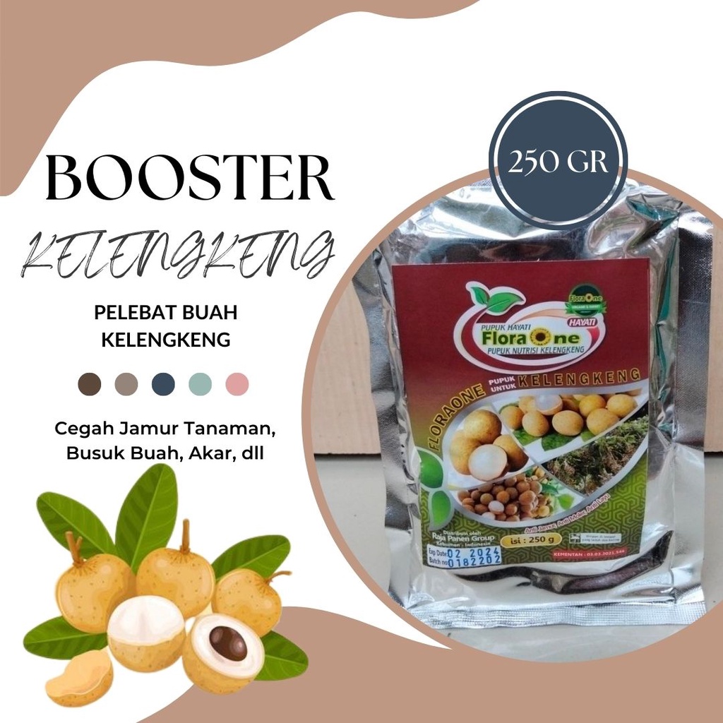 Pupuk Booster Kelengkeng Pupuk Perangsang Buah Klengkeng, Boster Hayati Tricoderma Kelengkeng