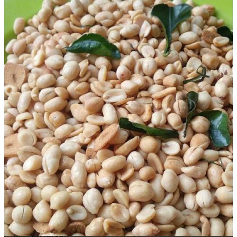 

Kacangasin