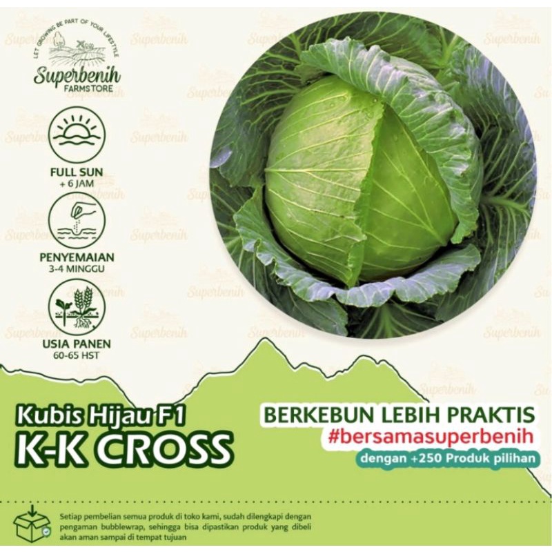 15 Biji Bibit Benih Kubis KK CROSS F1