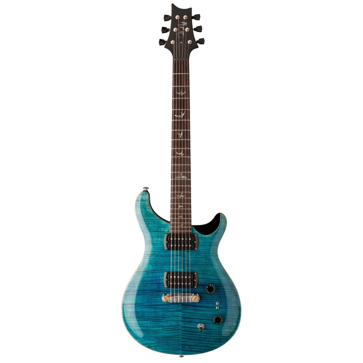 PRS SE Paul's Guitar