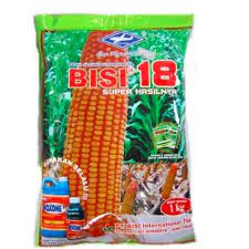 Benih jagung hibrida Bisi 18 isi 1kg jagung bisi18 bibit jagung bisi 18