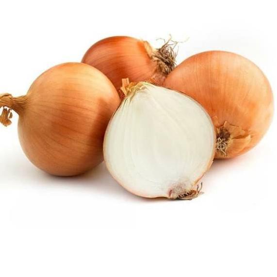 

More Info Here--Bawang Bombay 1Kg kualitas impor size 60/80