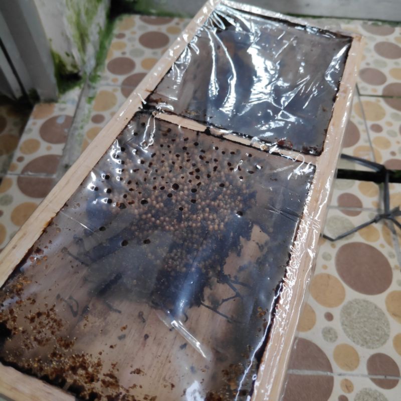 KLANCENG DRESCERY ATAU KLANCENG CORONG BESAR