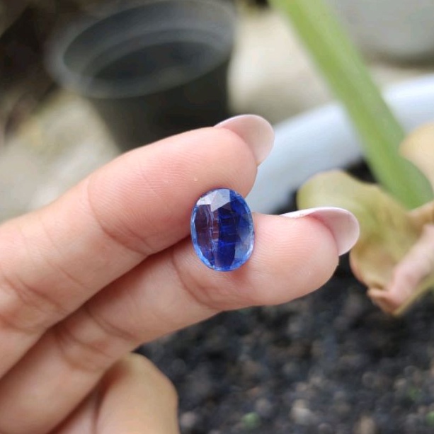 Safir kyanite Australia asli A - batu permata Sapphire