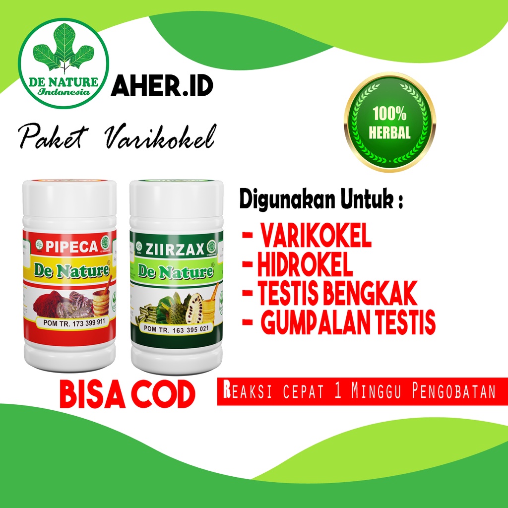 Obat Herbal Varikokel Hidrokel Testis Bermasalah Herbal De Nature