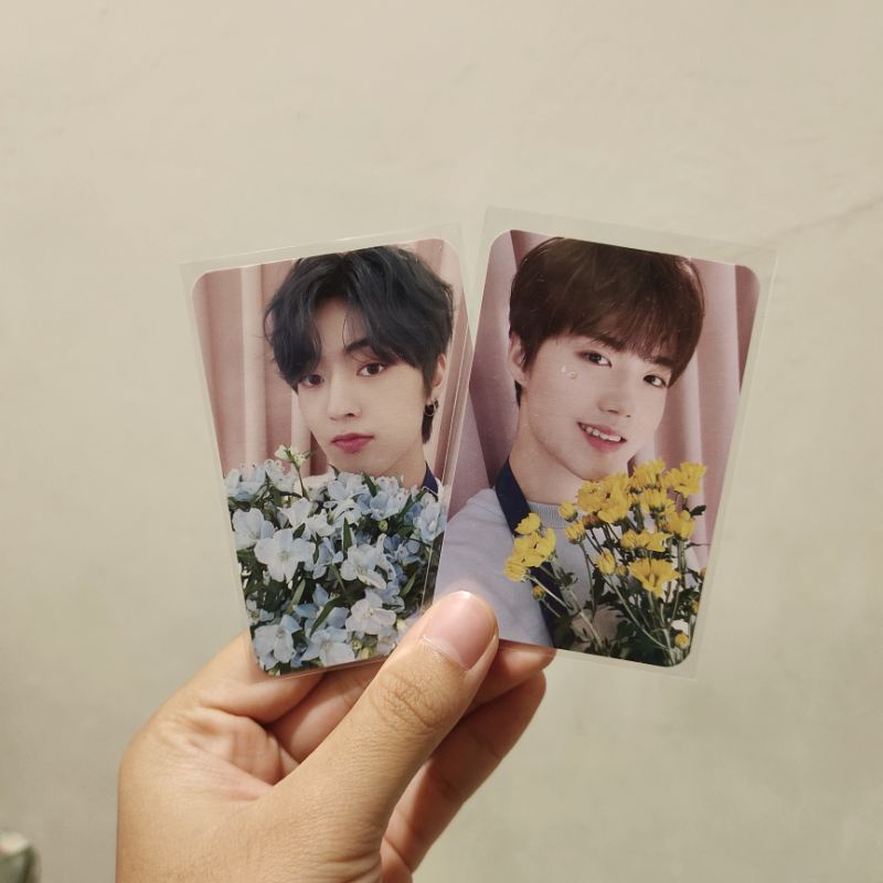 Photocard Treasure RPC Blooming Haruto Doyoung