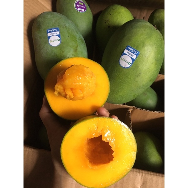 

Mangga Alpukat Bangil Matang pohon 5kg/box
