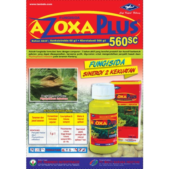 Fungisida Azoxa Plus 560 SC mengatasi moler dan krupak pada bawang merah