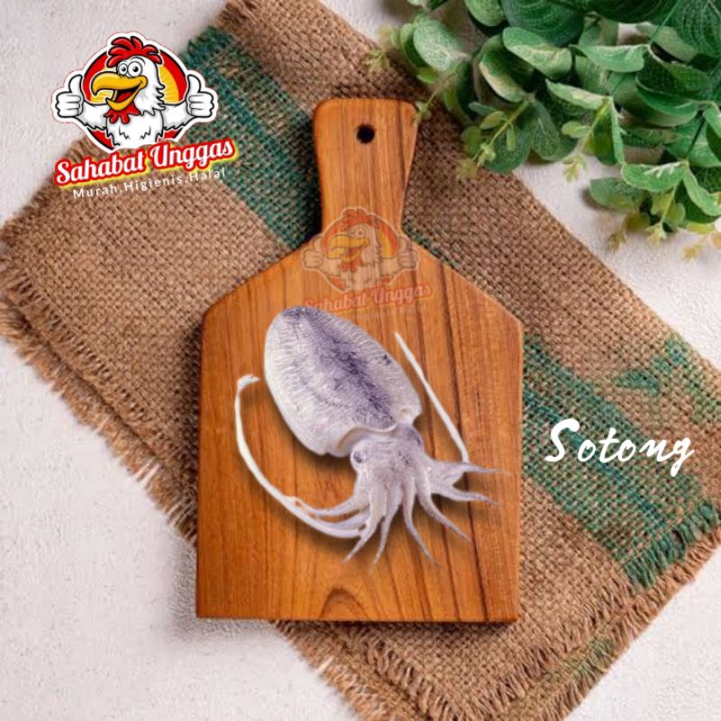 

Sotong 500gr