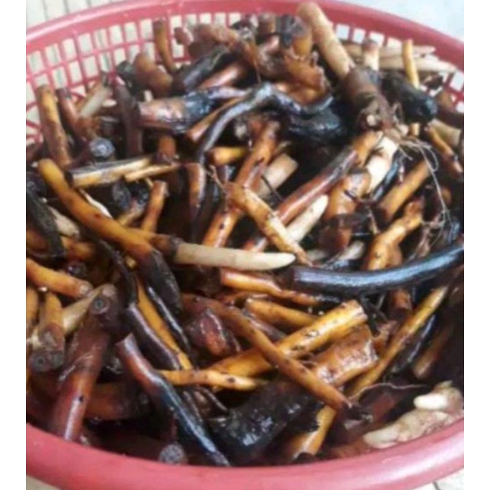 

akar aren segar fres kemasan 500 gram