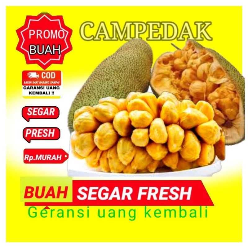 

Buah campedak manis segar 2kg