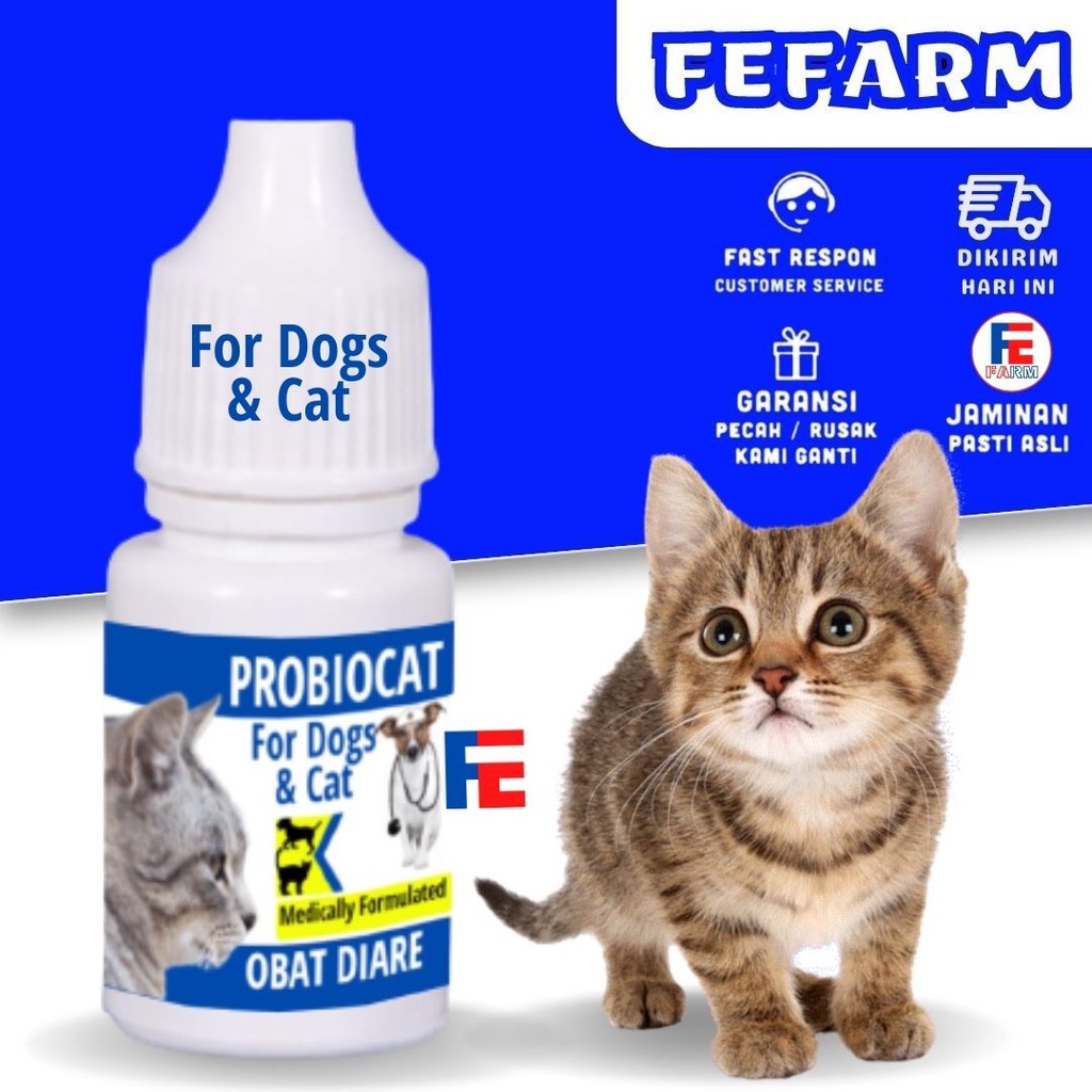 Obat Diare Kucing Obat Berak Darah Kucing PROBIOCAT FEFARM