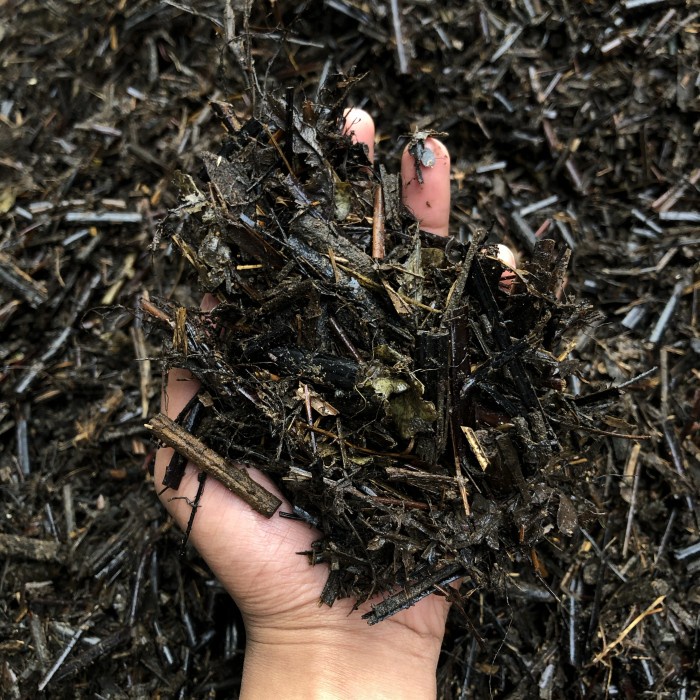 Media Tanam Media Tanam Andam Fermentasi