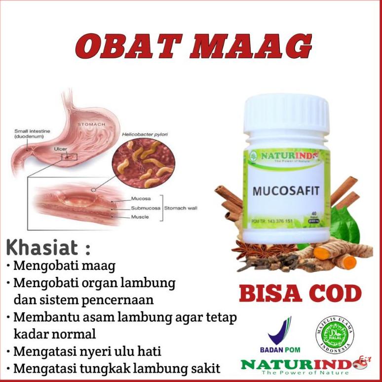 Obat Sakit Asam Lambung Maag Begah Sendawa Obat Herbal Sakit Maag Obat Asam Lambung Maag Kronis Obat