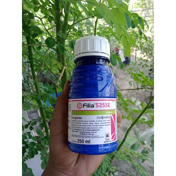 Filia 250 ml