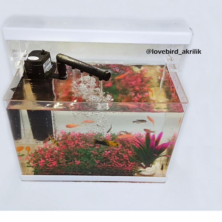SALEAquarium Acrylic, Mini Aquarium, Aquarium Mini, Aquarium Akrilik, Aquarium lengkap, Aquarium fullset|SQ2