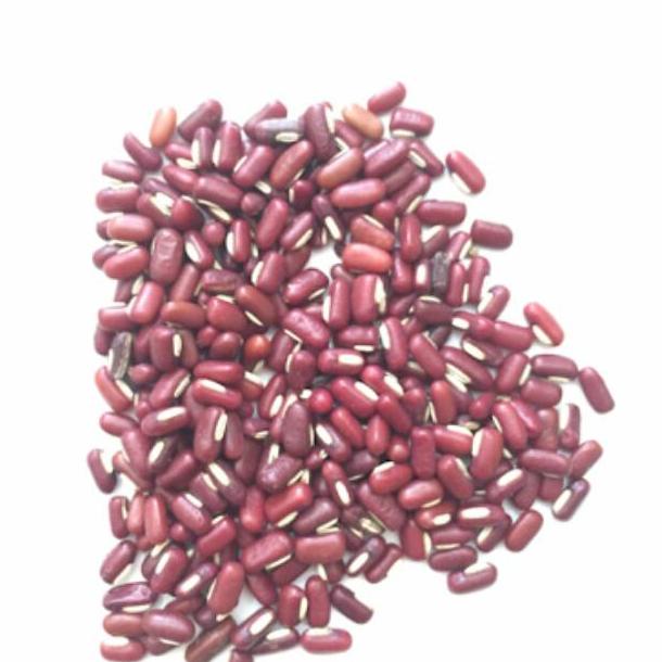 

✨SHOPEE MALL✨ Kacang Merah kecil Lokal 1 kg / kacang adzuki / kacang azuki !!