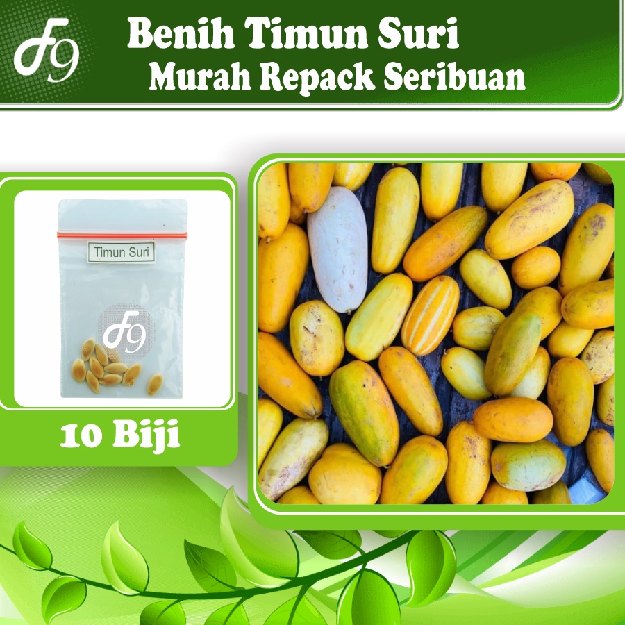 Benih Bibit Timun Suri Murah Repack Seribuan