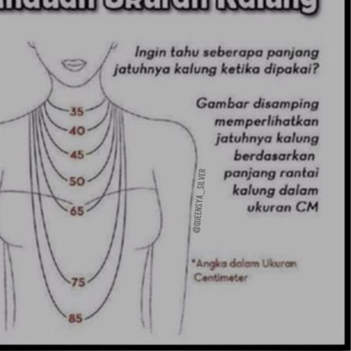 New Stock Kalung Perak Kalung Perak Wanita Perak Asli 925 Lapis Emas Putih Model FLEXY || Queensya S