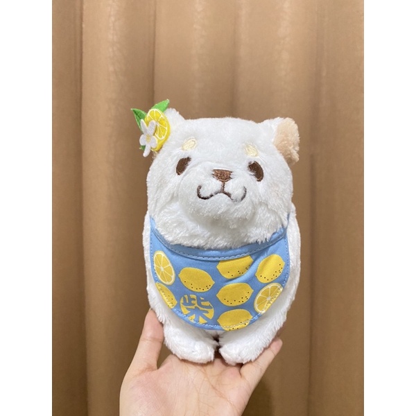 Boneka Karakter Guguk Shiba Pita Lemon Lucu Original / Boneka Shiba / Boneka Shiba Putih / Boneka Gu