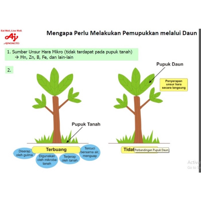 Gretong Ajifol pupuk bunga daun dan buah pupuk cair Ajifol pupuk daun cair -t=