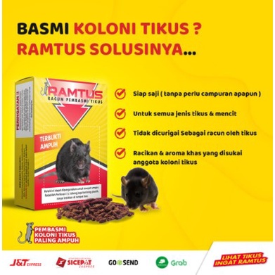 Jual RAMTUS RACUN PEMBASMI TIKUS | OBAT PEMBASMI TIKUS ORIGINAL 50 GR | Racun tikus ampuh | Pembasmi Tikus