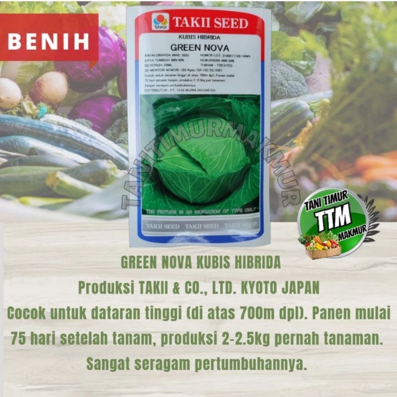 BENIH KUBIS HIBRIDA GREEN NOVA