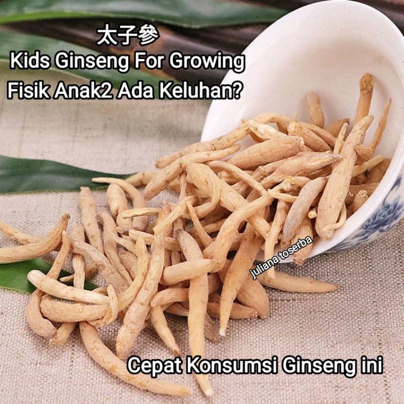 

Ginseng Anak Pseudostellaria Heterophylla 太子參 Thai Zi Sen 50gram