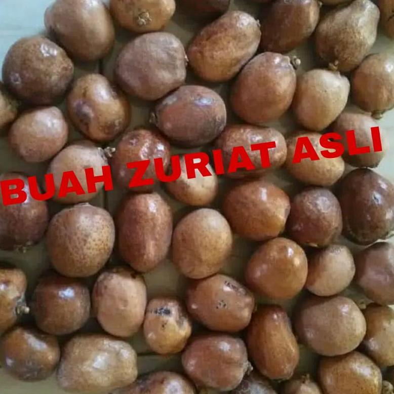 

Buah Zuriat Murah 1/2 Kg Isi 7 Sampai 8 Biji