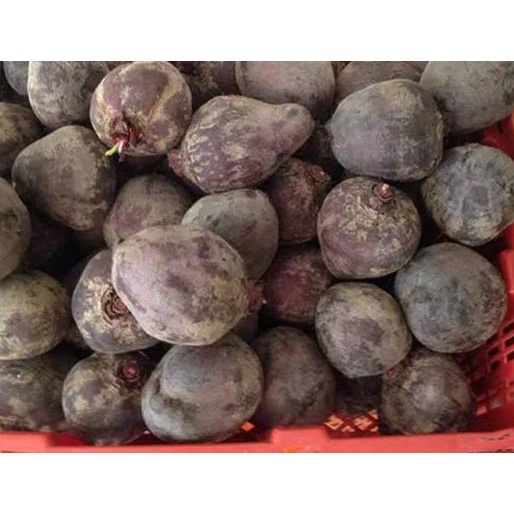 

SALE✅Buah Beet Organik / Beetroot / buah bit Ganda Segar dan Sehat Per 1 Kg|SQ7